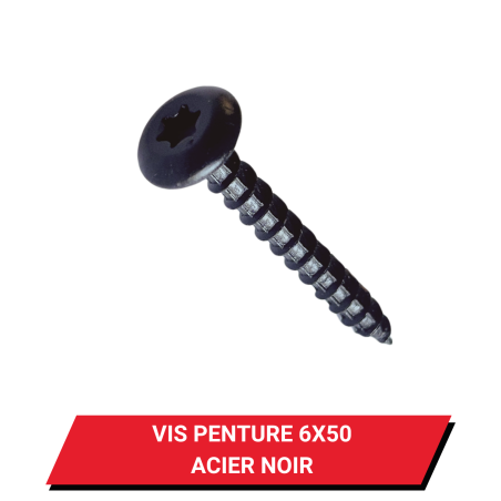 Vis bois penture 6x50 Acier Zingué Noire Torx
